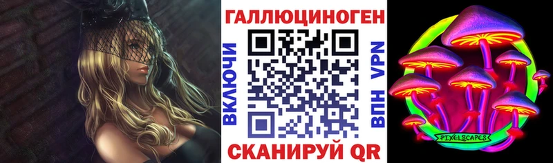 это клад Кувшиново Галлюциногенные грибы Magic Shrooms